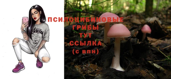 ПСИЛОЦИБИНОВЫЕ ГРИБЫ Армянск