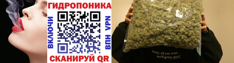 Каннабис сатива Армянск